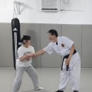 태껸청계관