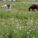 장동 계족산마을 이미지
