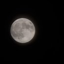 수원시 팔달구 팔달문로57번길 | 밤산책 UFO 발견 ? 기묘함과 일상 그 어딘가