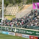 김포솔터축구장 이미지