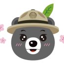 성이네 천원김밥 이미지