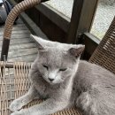 주주팜 티스토리