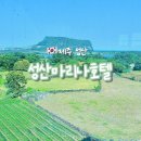 성산 | 제주 동쪽 여행 - 성산마리나호텔 이용후기🌱