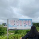 하동카냉동 | 주 일기]: 이제 연휴는 없데/주 4회 점심도시락/진주,사천,하동 일정/ 로또는 1등 (예비)당첨자는 나야 나