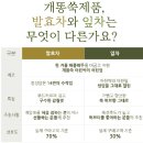 현대팜 | [약초밭아낙네]몸에 좋은 쑥차, 부모님 선물로 딱이네!