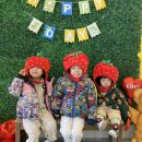 돈다산농장 이미지