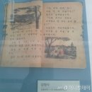 국가기록원부산기록관 머니투데이