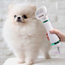 미미 펫 그루밍 이미지