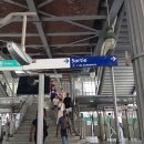 호선약국 이미지