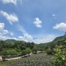 [충주]숲속 힐링 제대로!🌲 늘푸른사랑농원 캠핑장 후기