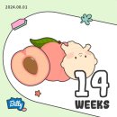 (Week 14,15) 시간이 정말 안가는 임신 14,15주_코엑스 베이비페어, 씨리얼과 막국수에 꽂힘, 태교...