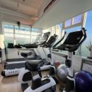 머스트무브짐 | 잠실pt PT 고민 끝! 머스트무브짐 잠실새내점에서 운동 시작한 후기 머스트무브짐pt 잠실새내 4호점