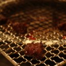 돌쇠와석쇠 이미지