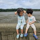 메송프로방스 이미지