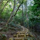 유영하는 언어-1 이미지