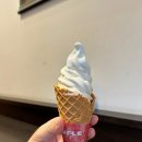 [일본 삿포로 여행] 오타루 오르골당, 증기 시계탑 필수코스 (키타카로 소프트아이스크림🍦)