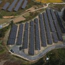 초록빛 태양광발전소 이미지