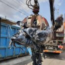 일성산업자원 이미지