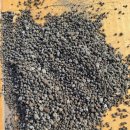 대유농장 이미지