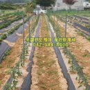 전원농장2 이미지