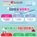 신세계여행사 (주) Daum카페