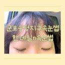HANNAIL(한네일) | 군포속눈썹, 한네일n속눈썹에서 속눈썹 포인트 연장한 후기 주차정보