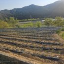 법전면사무소 이미지