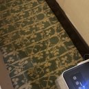 오션파노라마 | 세부 막탄 숙소 리조트 샹그릴라 오션윙 오션뷰 파노라마 후기