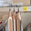 살림선생 | 프로살림 전동 자동 연필깎이 비교 추천, 충전 분해 초등학생선물