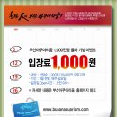 부산 아쿠아리움 1일데이트코스 (현재 행사중이라 1000원입장) 이미지