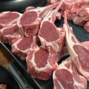 양파부추무침과 양고기 찐 맛집, 양도둑 소사벌점소사벌맛집