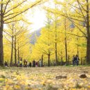 은행약수터 이미지