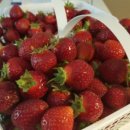 유픽(U-PICK) 이미지