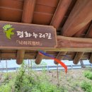 헤이리사거리 이미지