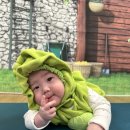 시흥배곧 롯데마트 | 시흥 배곧 롯데마트 문화센터 추천: '반짝반짝 똘망이'