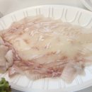 드림 키즈 풀빌라 이미지