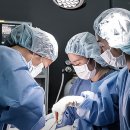 자양동물병원 이미지