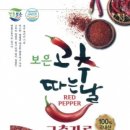 보은 대전일보