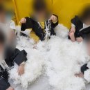 무궁화어린이집 이미지