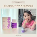 (주)아이언트리글로벌 | 맥스메이드 아이언츄 철분 영양제 : 츄어블 형태 먹기편한 아이, 임산부 철분제