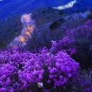 황령산순환도로 이미지