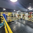 복싱바이러스 송파방이점 | 송파구복싱송파구 복싱 바이러스 송파방이점 체험 후기