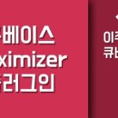 맥시마이져(Maximizer) 네이버블로그