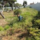 조경농장 이미지