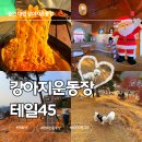 반려동물 수제간식 태식당 | 테일45 용인 공새로 대규모 애견운동장 용인애견카페 tail45