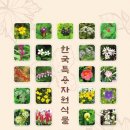 식물도감 네이버블로그