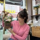 리플로라 이미지