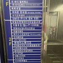 야탑미용실 :: 주블리헤어 극손상헤어 클리닉 받고 만족 후기