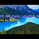 캐나다 록키 (Peyto Lake) 피토 호수 & photo by 체칠리아 이미지