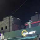 샐러디미아 이미지